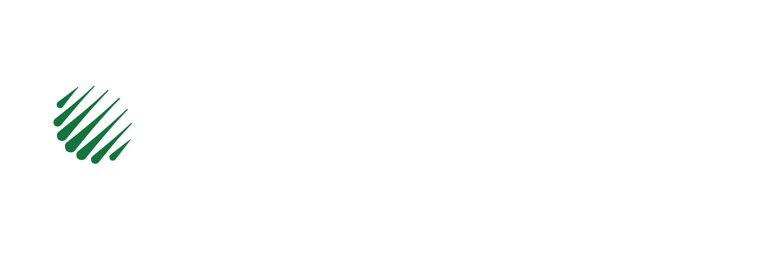 GSBD Logo